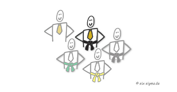 Six Sigma Master Black Belt Rolle
